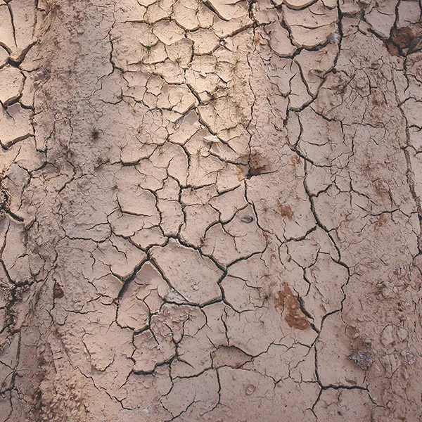 Searles How to correct clay soils